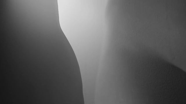 Bodyscape