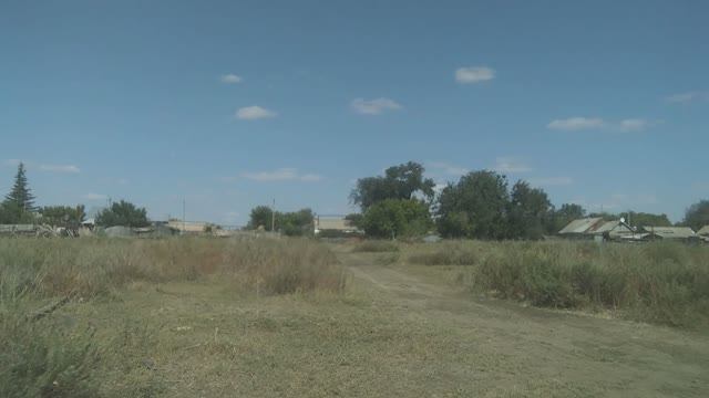 Село Золотуха, Дергачевский район.