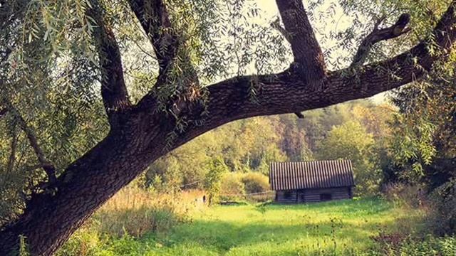 Край родной смотреть онлайн