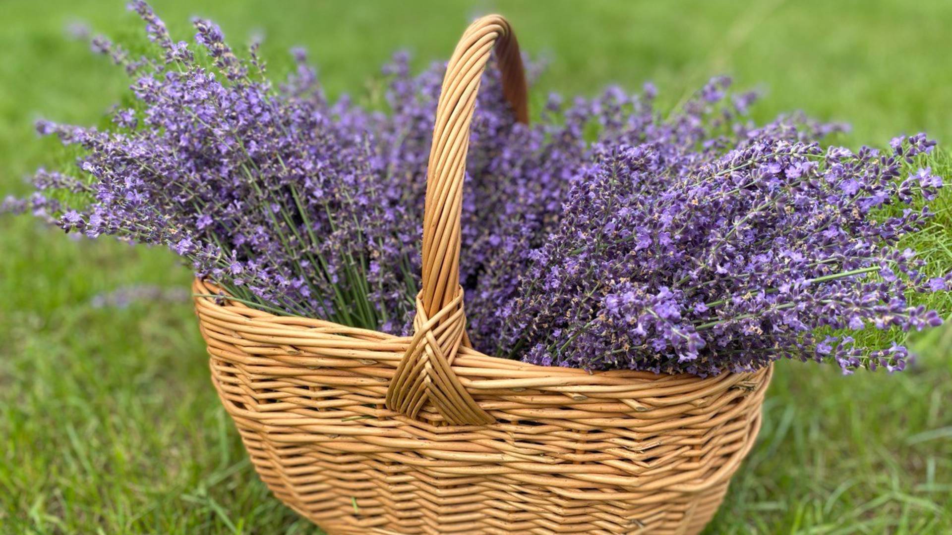 Снимаю видео с душой и в деталях