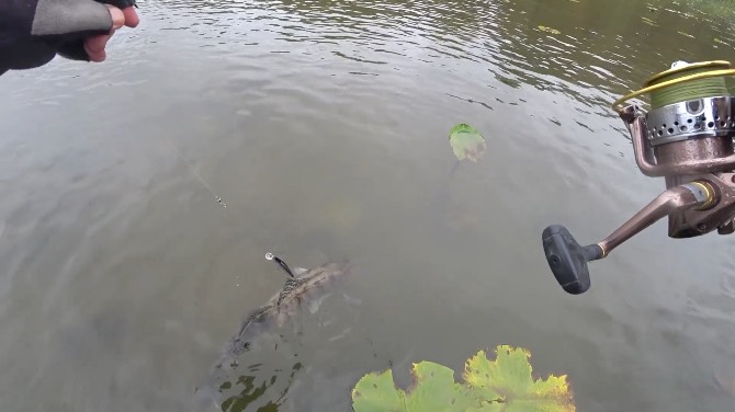 РАЗОРВАННЫЙ СУДАК. смотреть онлайн