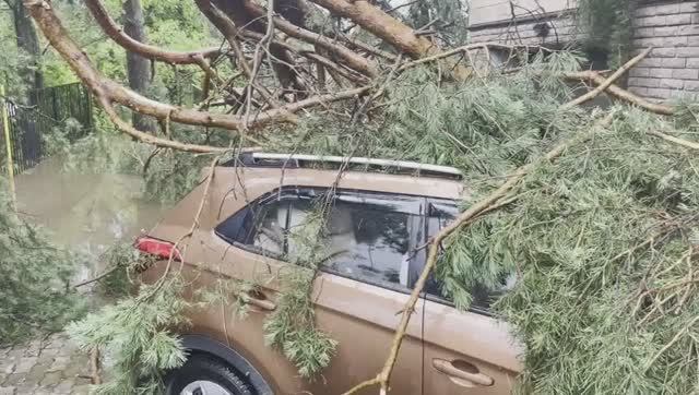 Последствия урагана. Подмосковье 05.07.24 смотреть онлайн