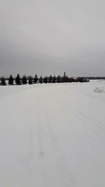 Деревня Ильино, Буйский район, Костромская область, Кострома смотреть онлайн