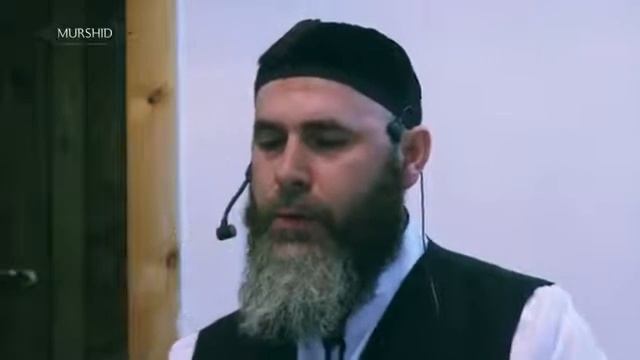 Хьехам Саляхь межиев смотреть онлайн