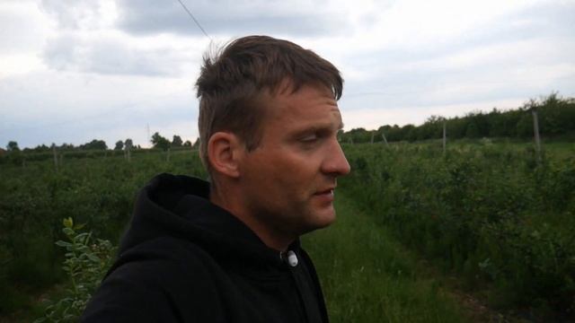 Jak Rośnie Borówka PLANTACJA NR 2 GRÓJEC BOŻE CIAŁO 2022 смотреть онлайн