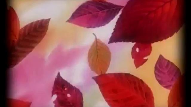 Cardcaptor Sakura- My Life Would Suck Without You [for cooperflamex] смотреть онлайн