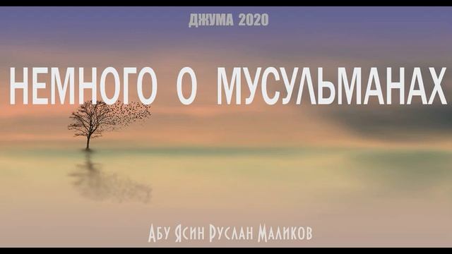 Немного о мусульманах смотреть онлайн