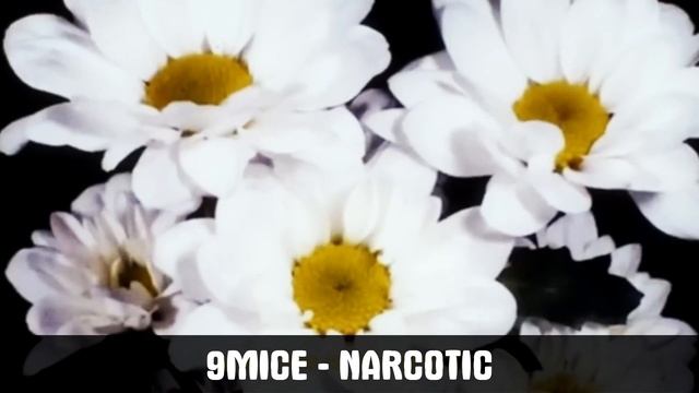 УГАДАЙ ТРЕК 9MICE за 5 СЕКУНД смотреть онлайн