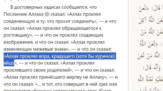 Как мусульмане опровергают и боятся смотреть онлайн