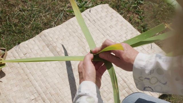 How to weave a harakeke whetū (star) смотреть онлайн