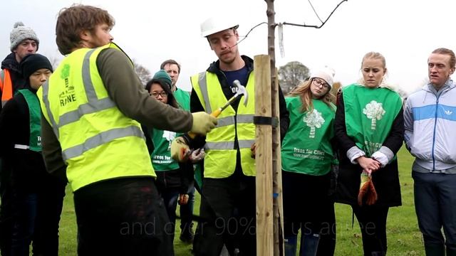 Join Generation Tree смотреть онлайн