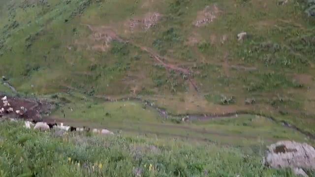 По горам за бее. смотреть онлайн