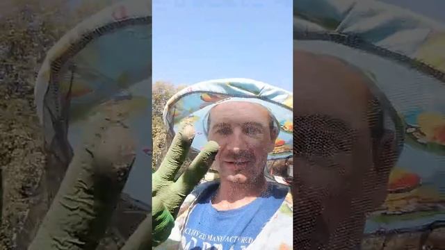 3 способа исправления семьи трутовки смотреть онлайн