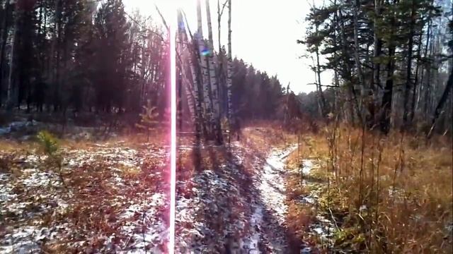 В берёзовом лесу. Моя разведка. смотреть онлайн