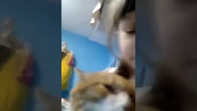 кот рыжик и Даша смотреть онлайн