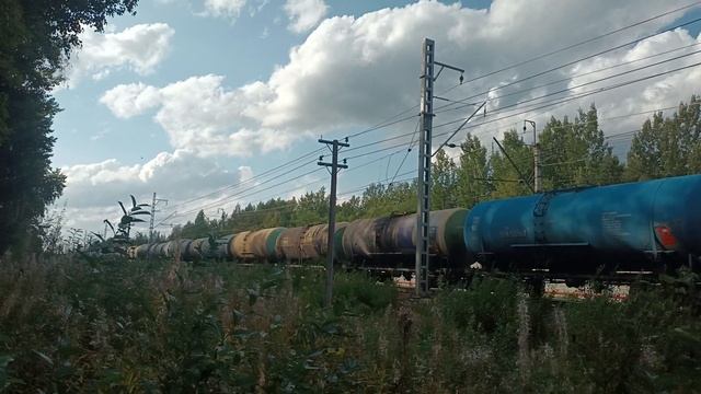 Электровоз ВЛ10У-172 с наливным поездом, перегон Владимирская - Новолисино, Лен.обл.,31.08.23 смотреть онлайн