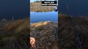 Прикормка для красноперки. Ароматы и составы