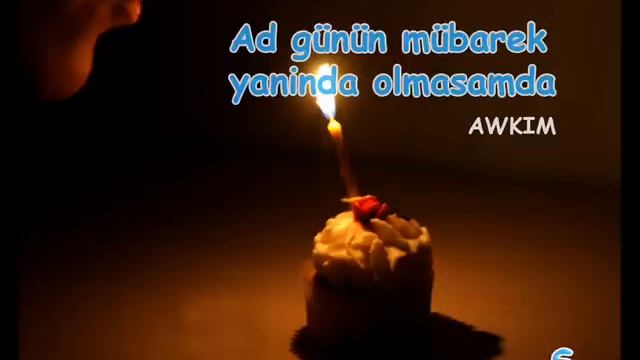 BU GUN SENIN DOGUM GUNUNDUR SEVGILIM (Nermin)