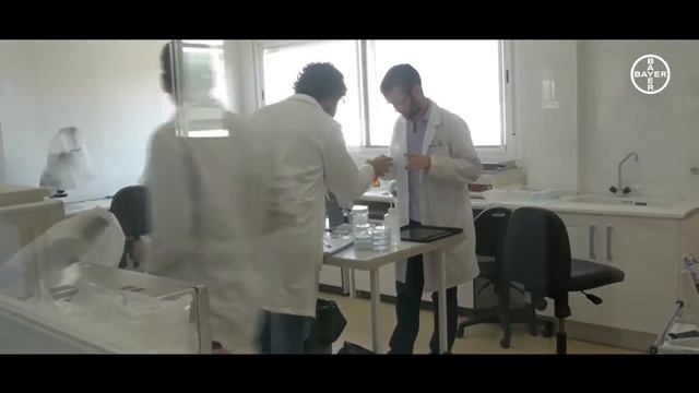 I portainnesto De Ruiter /// Seminis by Bayer смотреть онлайн