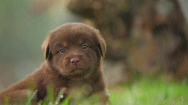 Когда судьба смотреть онлайн