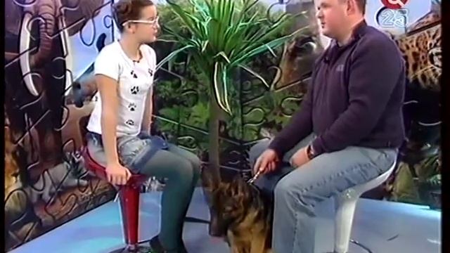 Как вернуть собачку гав гав. смотреть онлайн