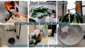 #50 ОБУСТРОЙСТВО В НОВОМ ДОМЕ! 🏠 Шпаклёвка откосов на второй раз. Мои домашние цветы 🌱