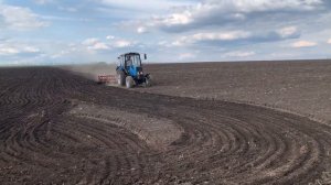 Культивируем землю под посев подсолнечника на МТЗ 892 и КПС 4,2