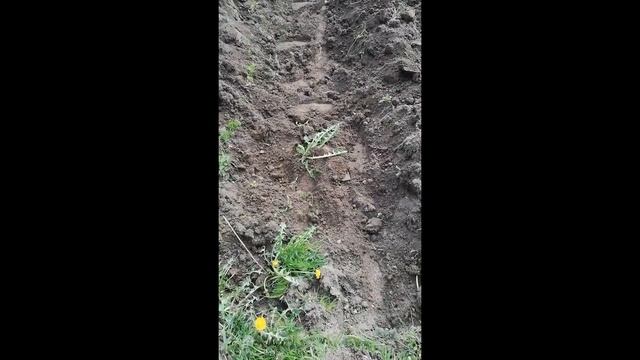 Тёплые грядки смотреть онлайн