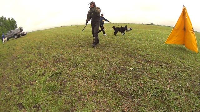 C0015 смотреть онлайн