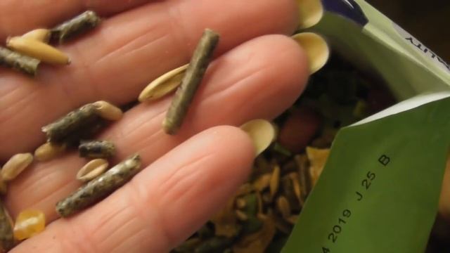 Я грущу/ Предпоследнее видео/Елена и зверята смотреть онлайн