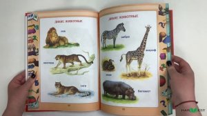 Моя первая книга малыша от 0, энциклопедия детская, развивающая, учим новые слова