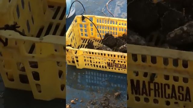 Маленькие путешествия по большой Испании! смотреть онлайн