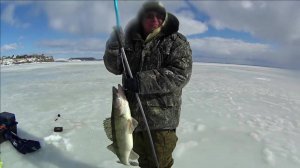 Зимняя ловля  Судака на Ратлины и Берша на Тюльку.Река Кама.Бывали и такие рыбалки.