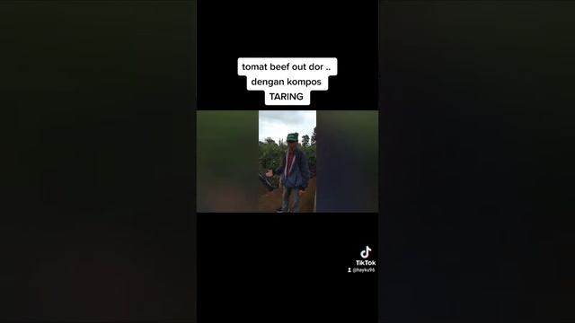 berkebun tomat beef di luar green house смотреть онлайн