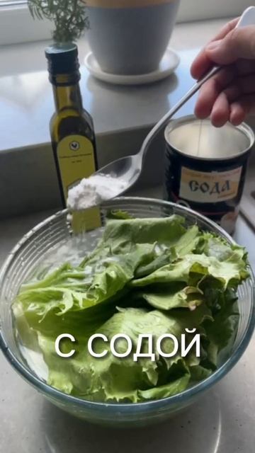 УБИРАЕМ ПЕСТИЦИДЫ ИЗ ЗЕЛЕНИ ❗️ #зелень #здоровоепитание #здоровоепохудение #похудение #ппрецепты смотреть онлайн