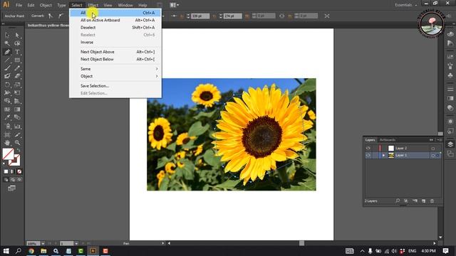 How to cut out an image object in Illustrator 2025 смотреть онлайн