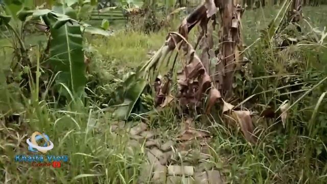 Misteri curug ci surian смотреть онлайн