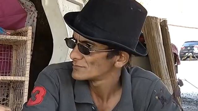 Morador de rua faz Casa da Árvore em BH смотреть онлайн