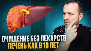 Здоровье печени. Как очистить печень от жира без лекарств