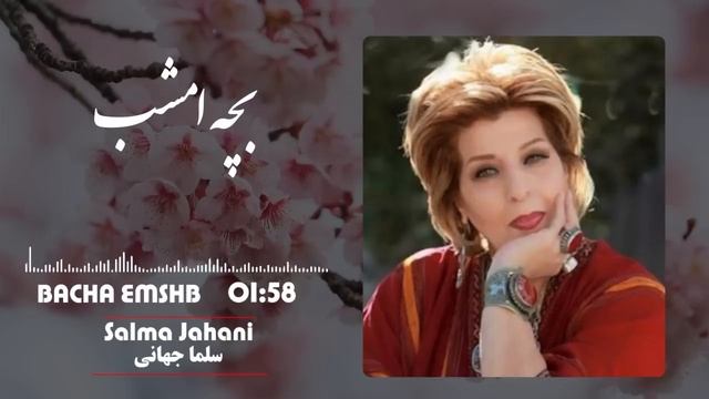Salma Jahani Rahe Jahani- Bacha Mashi Mashi /سلما جهانی رهی جهانی - بچه ماشی ماشی