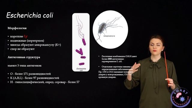 Характеристика E.coli смотреть онлайн