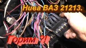 Горим ? Нива 21213.  Август 2020.