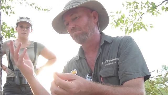 Kleinia stapeliiformis | Flora Fridays смотреть онлайн