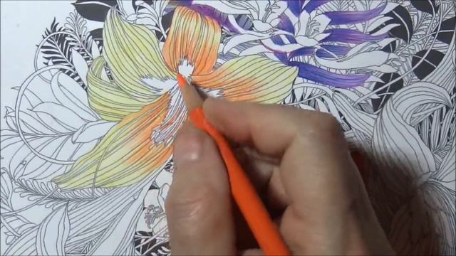 Floribunda May Calendar Coloring Tutorial Lilies Lily Flowers Lisa Brando Extreme Coloring Flowers смотреть онлайн