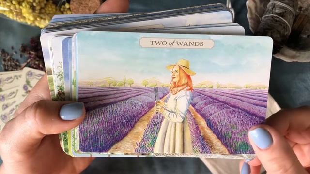 Pastoral Tarot Flip Through