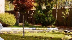 Санаторий "Сосны".