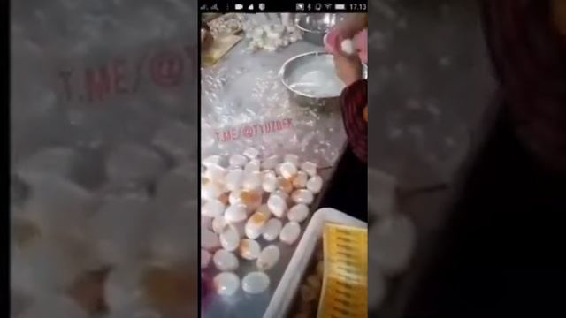 Огох болин сохта тухум лар копайиб кети Soxta Tuxum Lar Avjiga Chiqto Toshkent