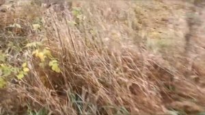 Отличные ПЛЮШКИ на давно забытой улице!!!