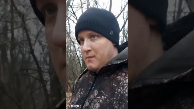 тост гамака с озона и мой основной гамак и конечно же лакшери лес поляны отдых смотреть онлайн
