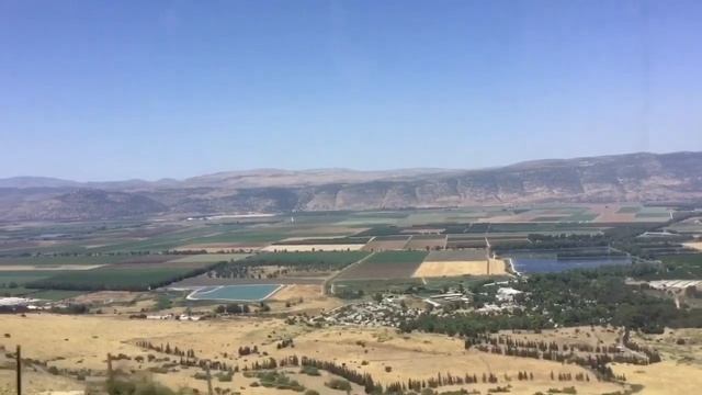 Поспели вишни в саду у дяди Мойше, и весь Израиль едет собирать смотреть онлайн